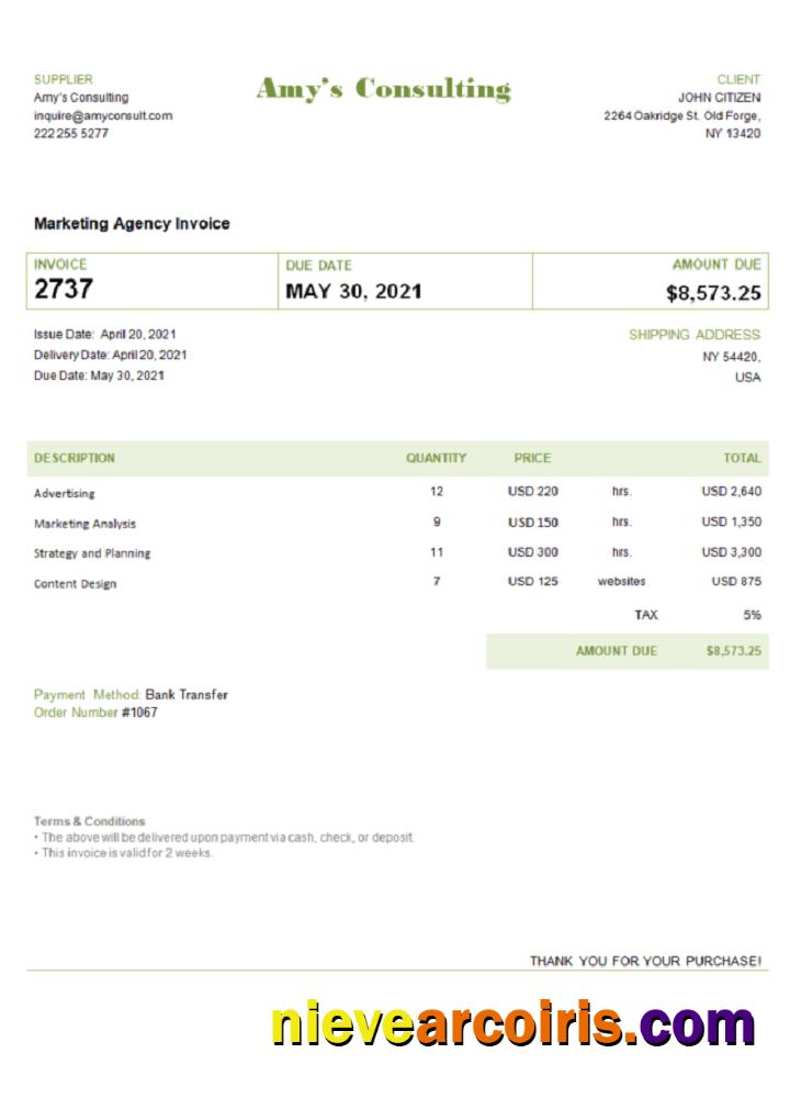 USA Amy’s Consulting invoice